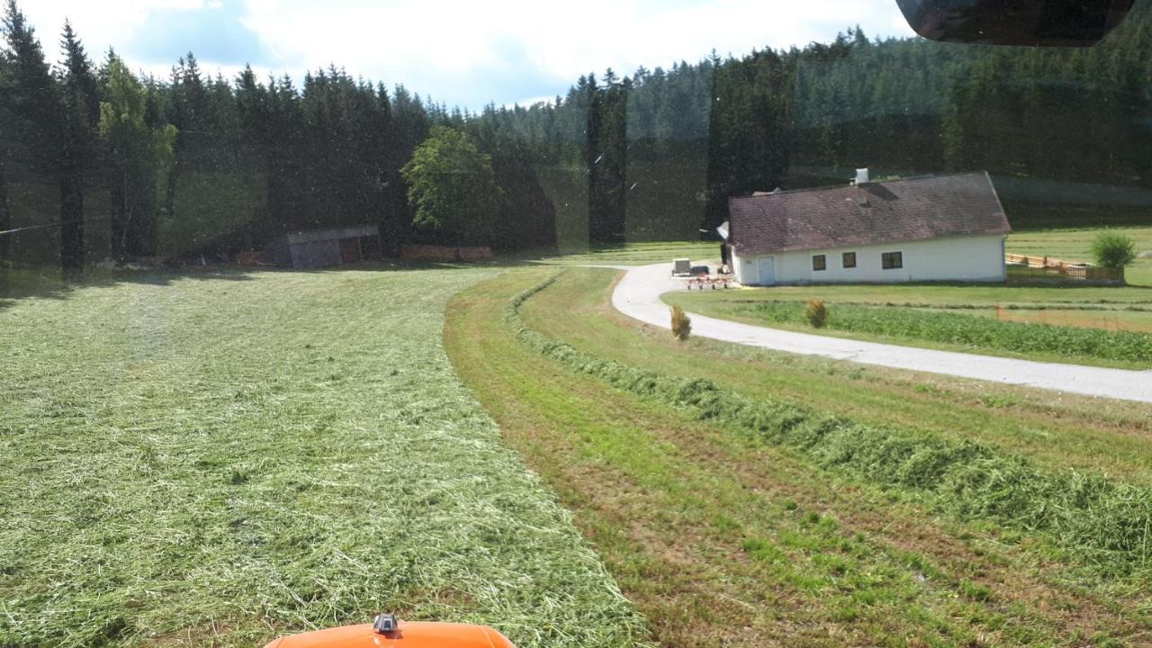 Ferienhaus Buxbaum Arbesbach Εξωτερικό φωτογραφία